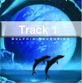 Track 1 - Dolphin Ascenion